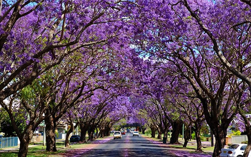 Grafton Byron Bay Accommodation